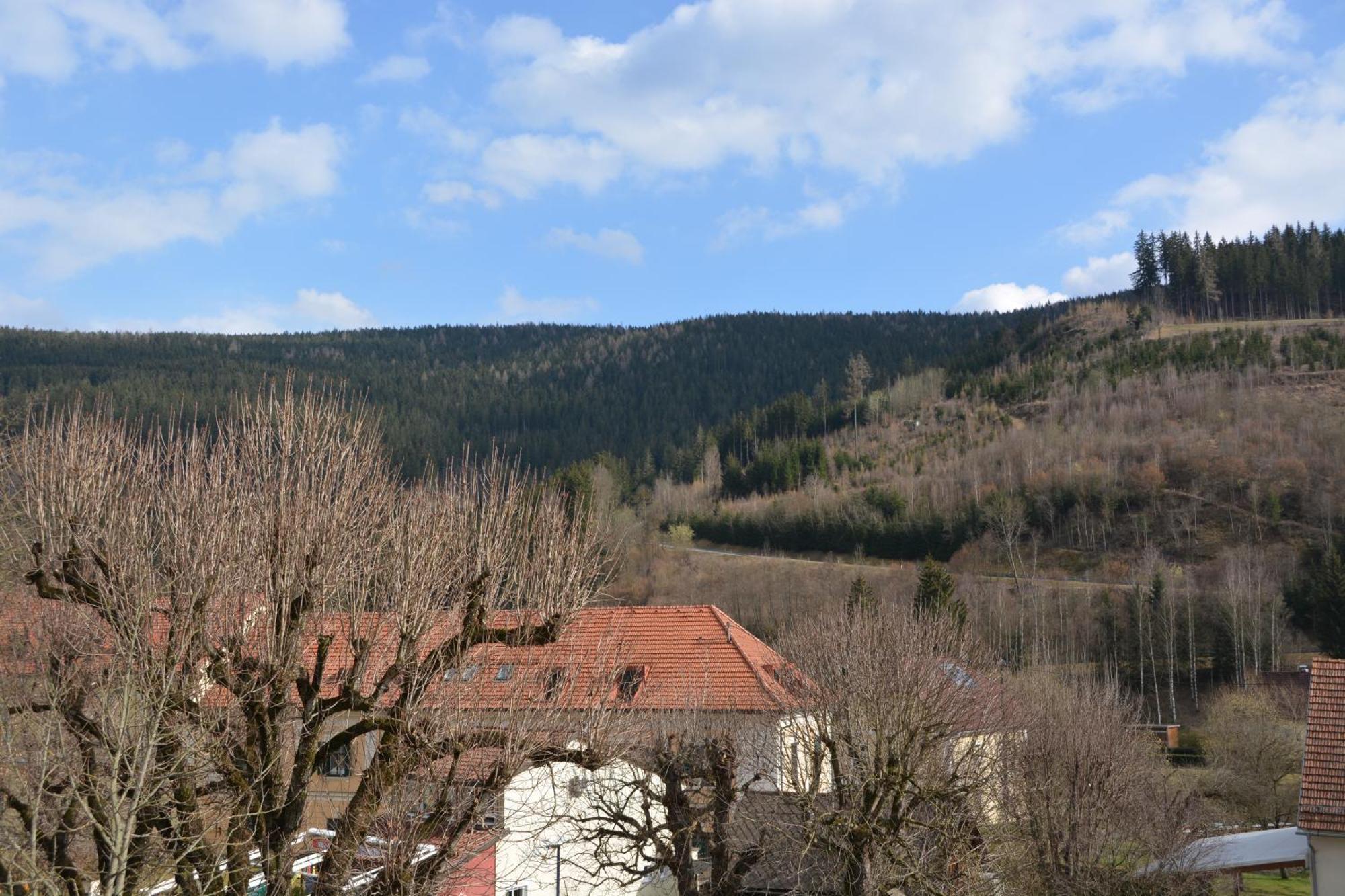 Kronenwirt Gurk Buitenkant foto